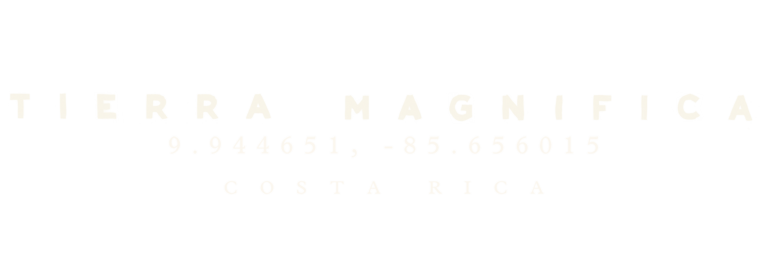 alt seal main logo blanco